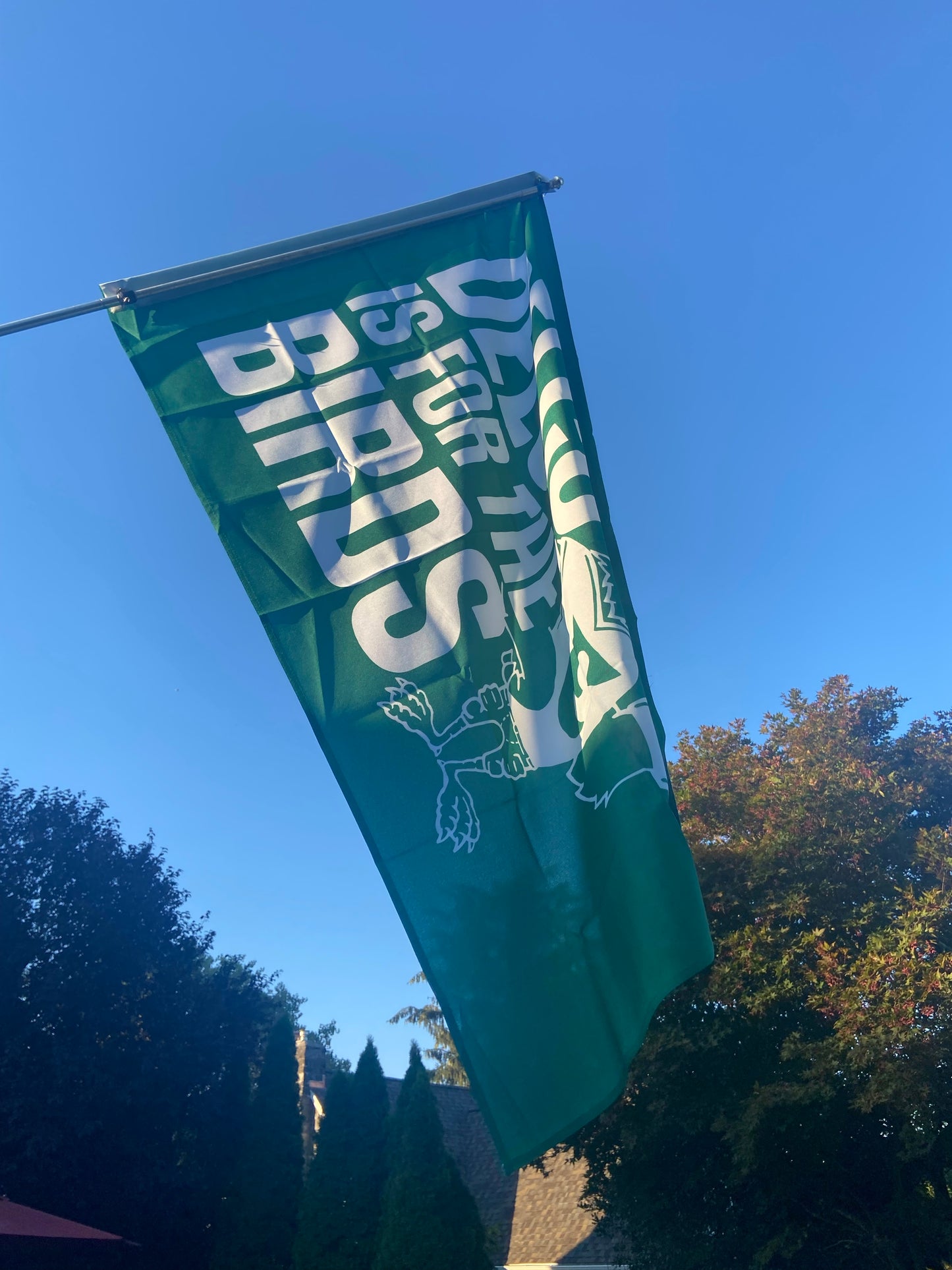 DELCO is for the Birds Big Flag