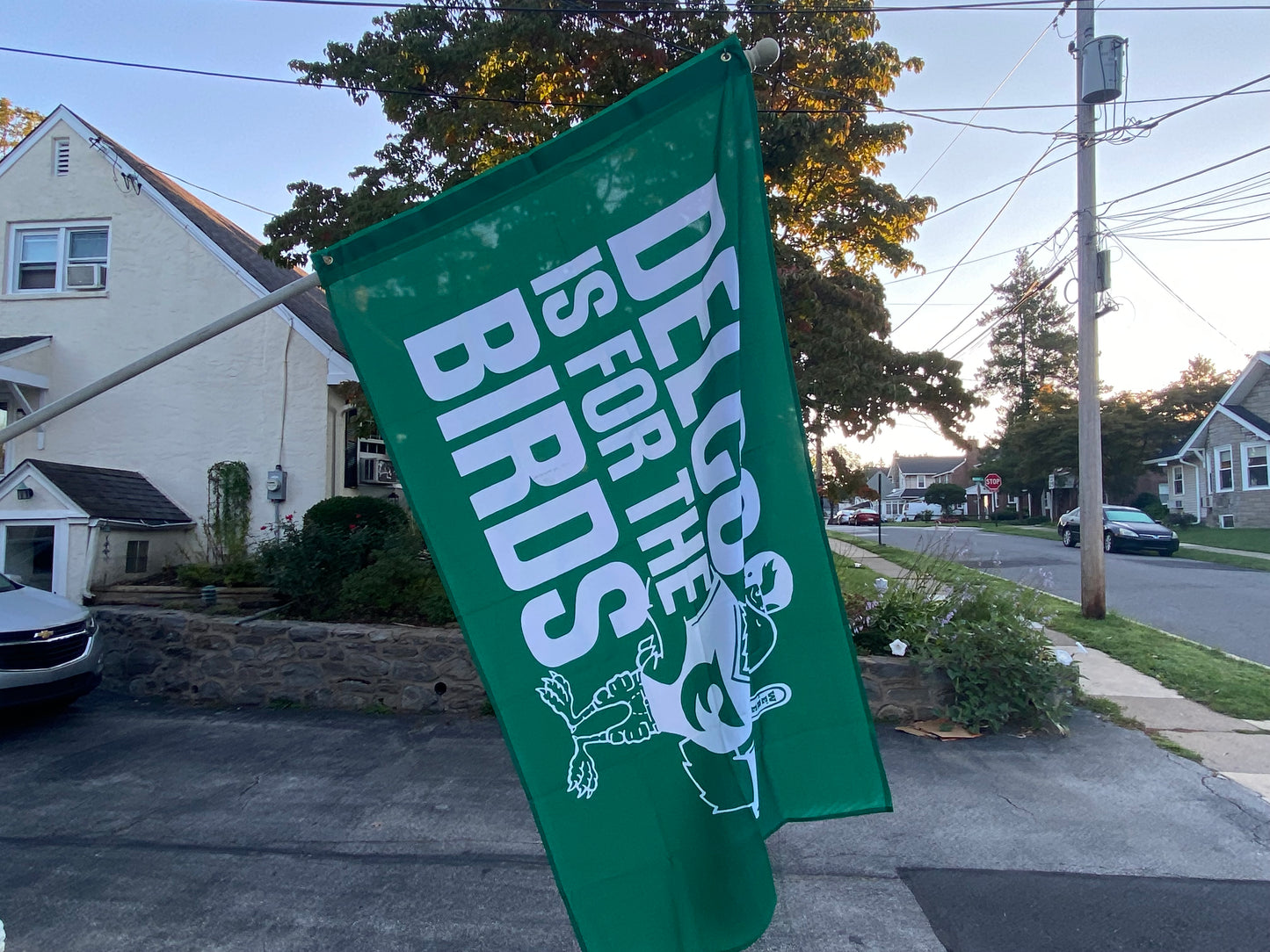DELCO is for the Birds Big Flag