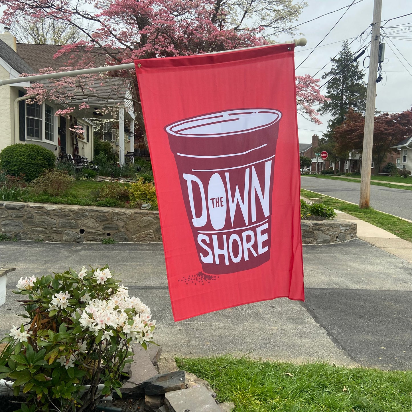 Down The Shore Solo Cup Flag