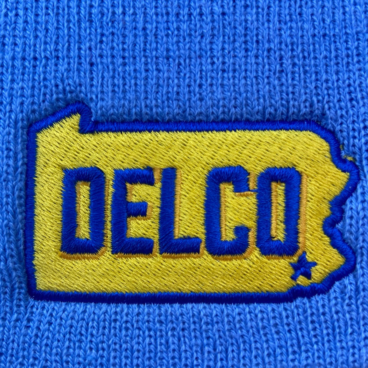 BlueRooted - DELCO Cougar Beanie