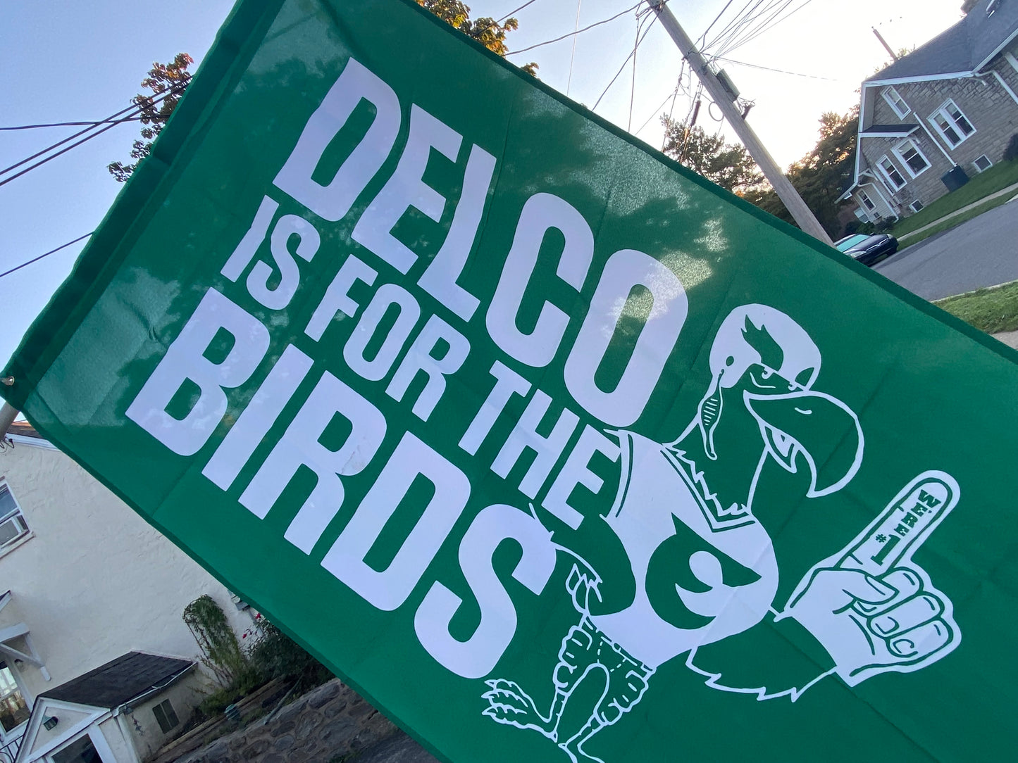DELCO is for the Birds Big Flag